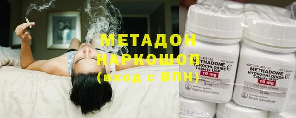 шишки Надым