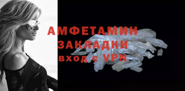 шишки Надым