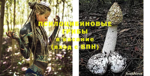 героин Михайлов