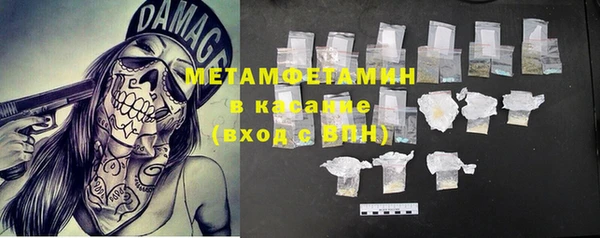 шишки Надым