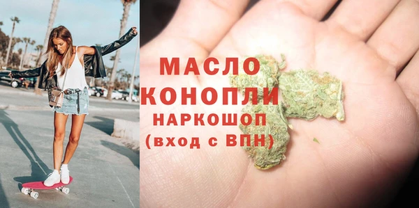 шишки Надым