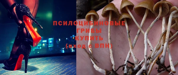 героин Михайлов