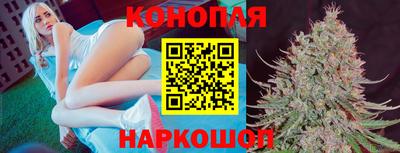 индика Изобильный