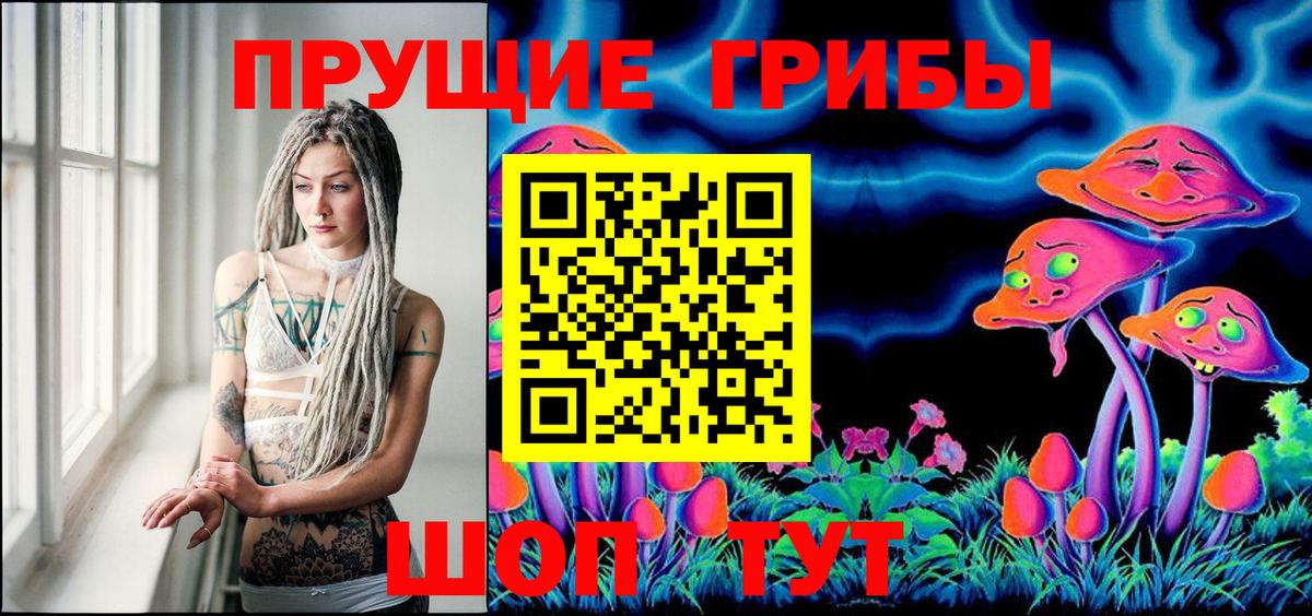 Псилоцибиновые грибы Psilocybine cubensis  Псилоцибиновые грибы MAGIC MUSHROOMS  Орск  Вход с VPN 