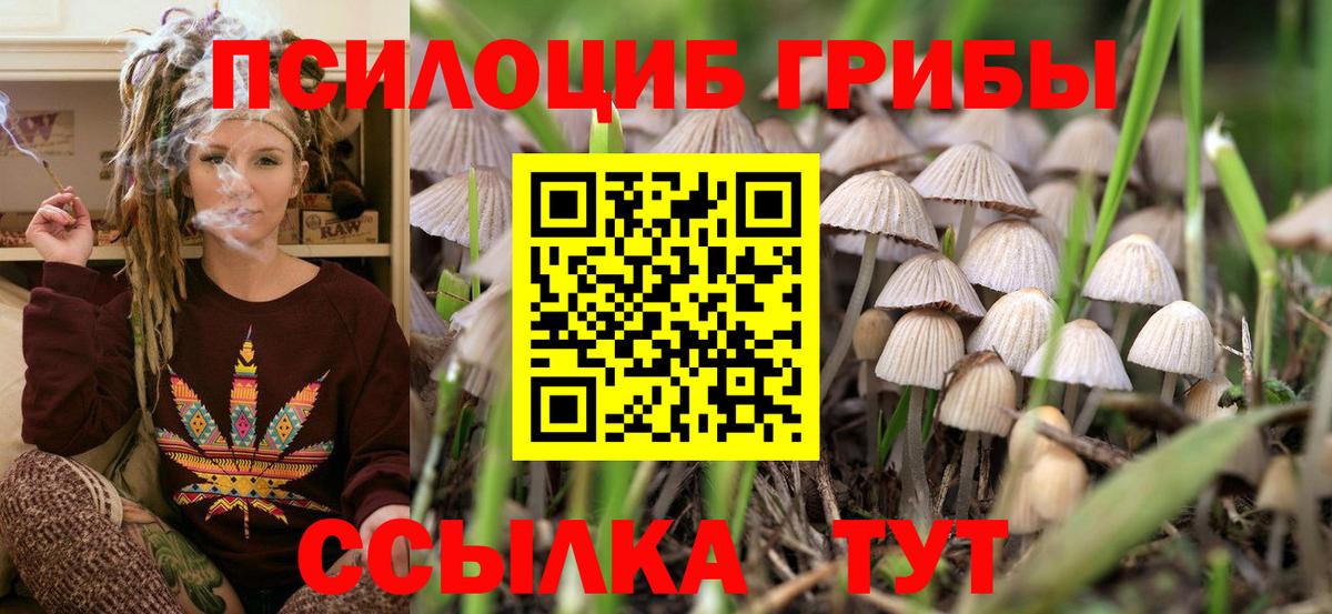 Псилоцибиновые грибы Cubensis Орск
