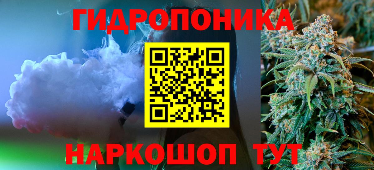 Конопля план  Бошки Шишки VHQ  Вход с VPN  Орск  Конопля индика 